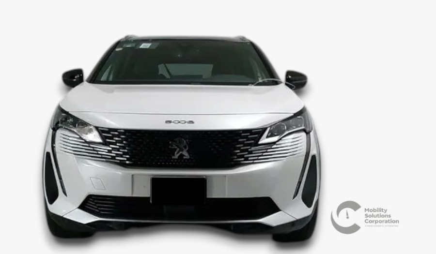 Auto 1